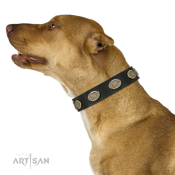 Stunning embellishments on everyday walking full grain natural leather dog collar