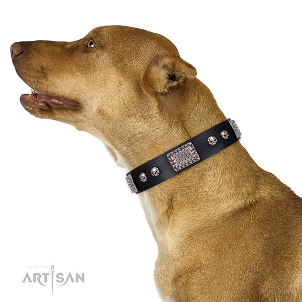 Handcrafted leather collar for your attractive four-legged friend