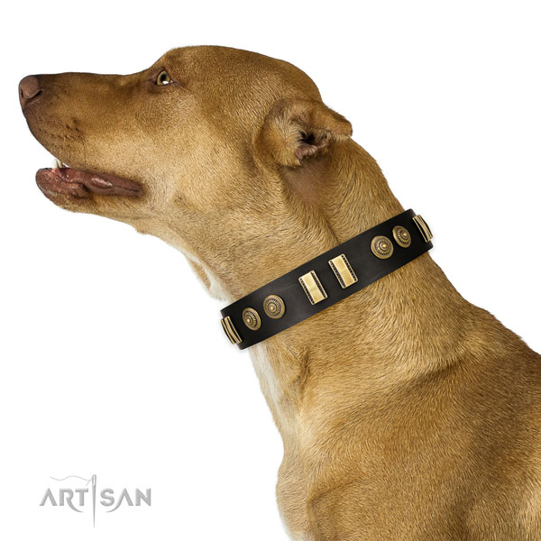 Corrosion proof D-ring on full grain genuine leather dog collar for handy use
