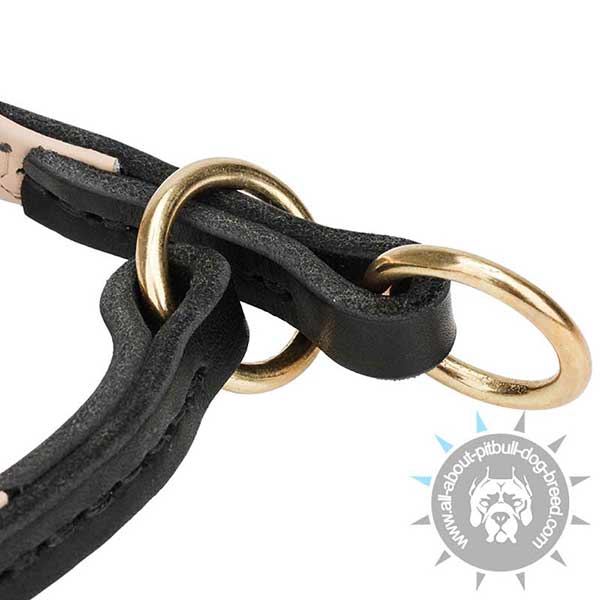 Strong Leather Dog Collar with Brass Hardware