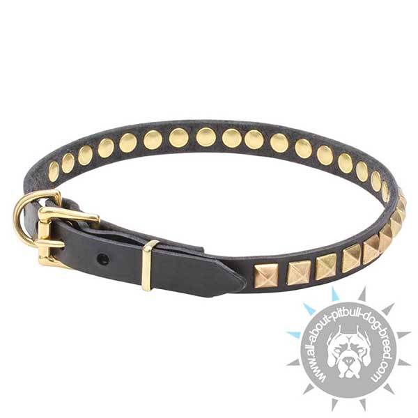 Leather Dog Collar Secure Riveted