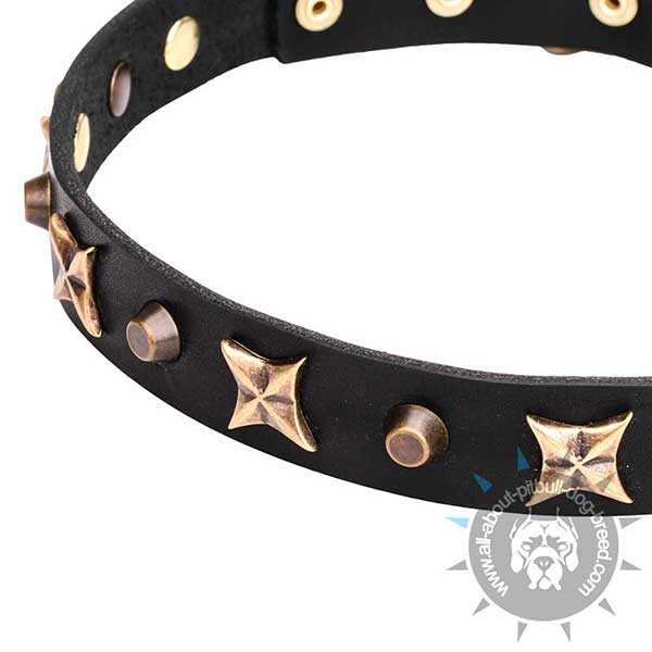 Extraordinary Leather Collar with Bronze-plated Decor
