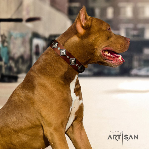 Pitbull comfortable natural genuine leather dog collar with significant decorations