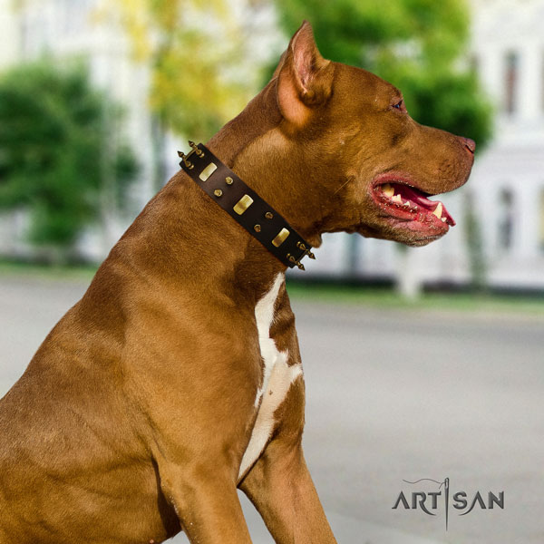 Pitbull easy to adjust full grain leather dog collar with stunning embellishments