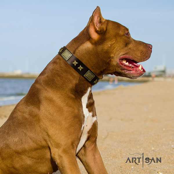 Pitbull comfortable natural genuine leather dog collar with extraordinary studs