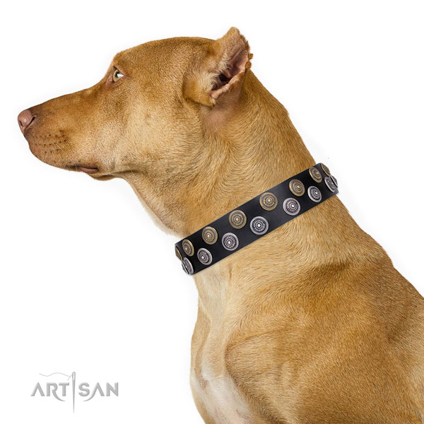 Pitbull easy wearing natural genuine leather dog collar for everyday use