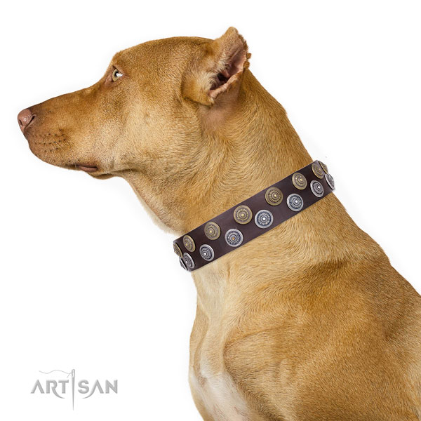 Pitbull fashionable full grain genuine leather dog collar for daily walking