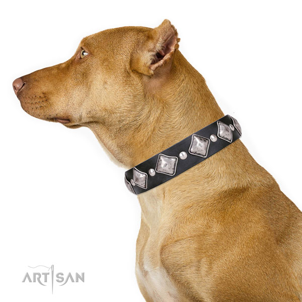 Pitbull handmade leather dog collar for everyday walking