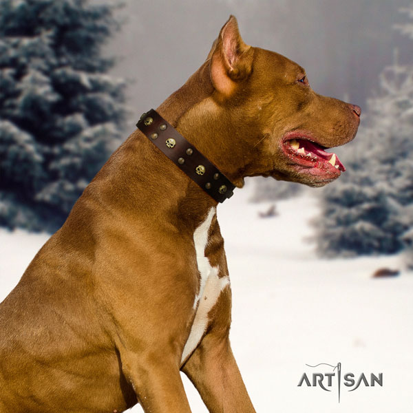 Pitbull comfortable genuine leather dog collar with stylish design decorations