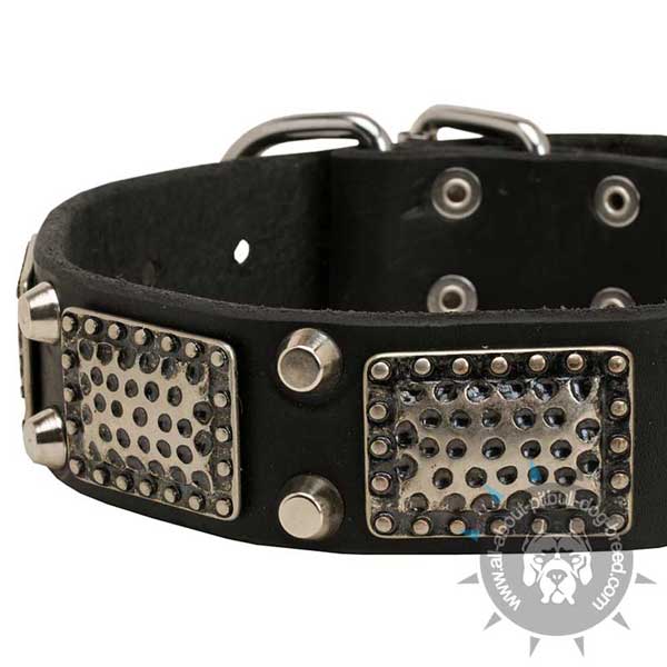Leather Dog Collar with Massive Decorations