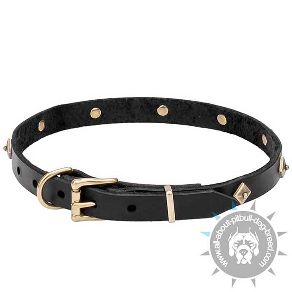 Leather Dog Collar with Brass buckle and D-ring