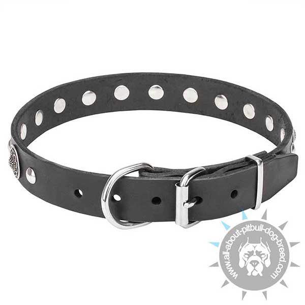 Luxury Leather Dog Collar with Chrome Plated Hardware