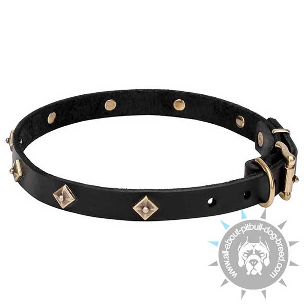 3/4 inch Wide Leather Dog Collar with Riveted Decoration