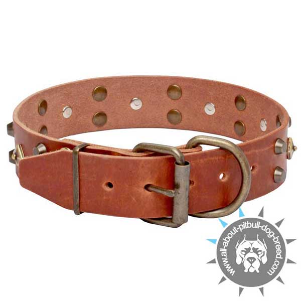 Buckle Style Tan Leather Dog Collar with Durable Hardware