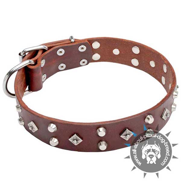 Studded Brown Leather Pitbull Collar for Stylish Walking
