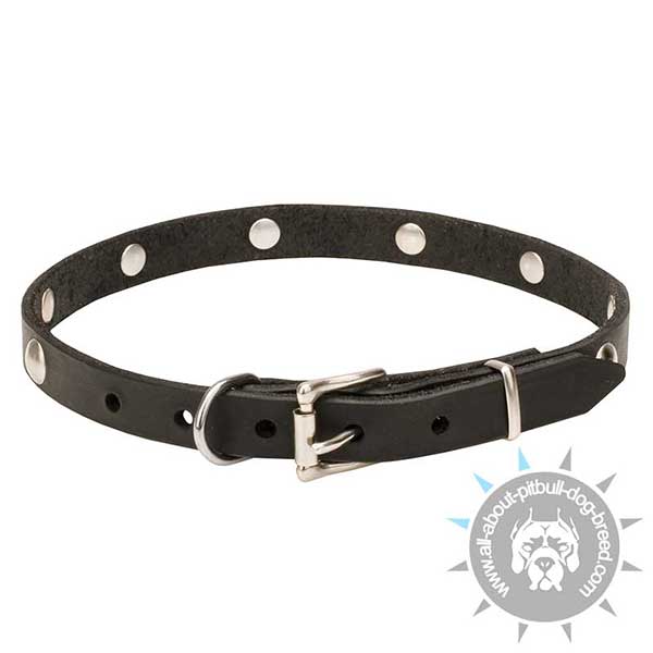 Comfortable Leather Dog Collar with Reliable Hardware