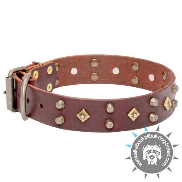 Studded Brown Leather Pitbull Collar for Stylish Walking