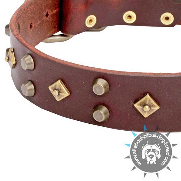 Selected Genuine Brown Leather Dog Collar for Comfortable Walks