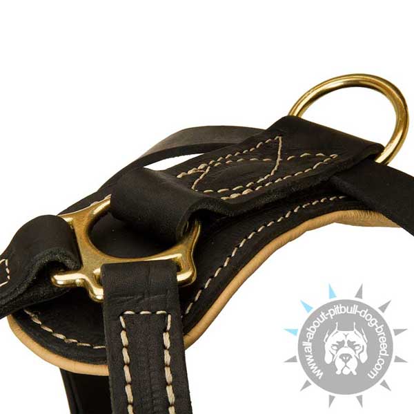 Durable Back Plate on Leather Dog Harness for Pitbull Walking