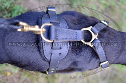 Tracking Leather Dog Harness