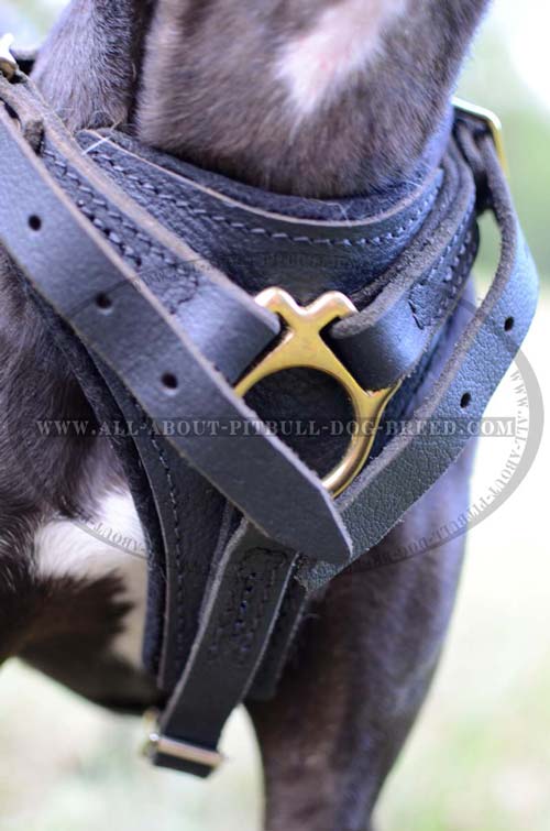 Professional Leather Dog Harness