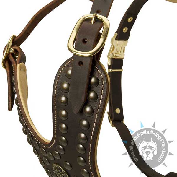 Well-fitted soft leather dog harness