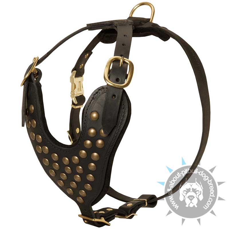 Custom leather clearance dog harness