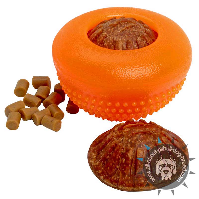 Orange Dream' Special Rubber Treat Dispensing Dog Toy - Large