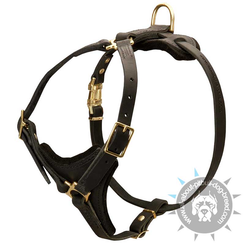 Pitbull Leather Dog Harness for Tracking, Training, Walking