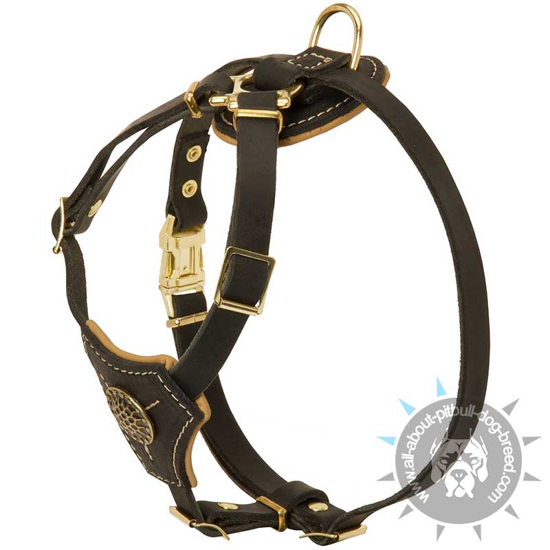 Pitbull Leather Dog Harness for Tracking, Training, Walking