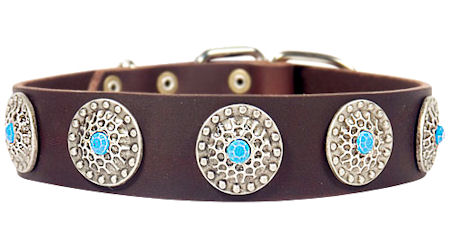 Dog collars for female hot sale pitbulls