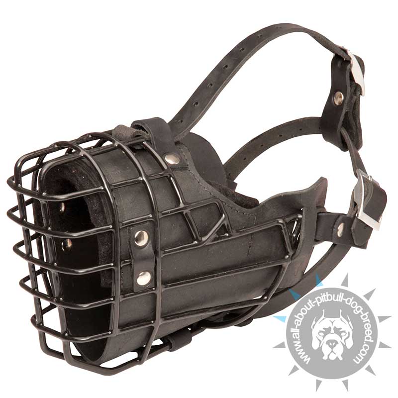 Wire on sale dog muzzle