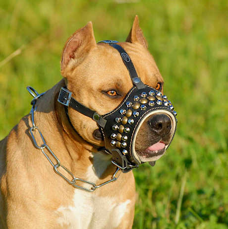 custom dog muzzle