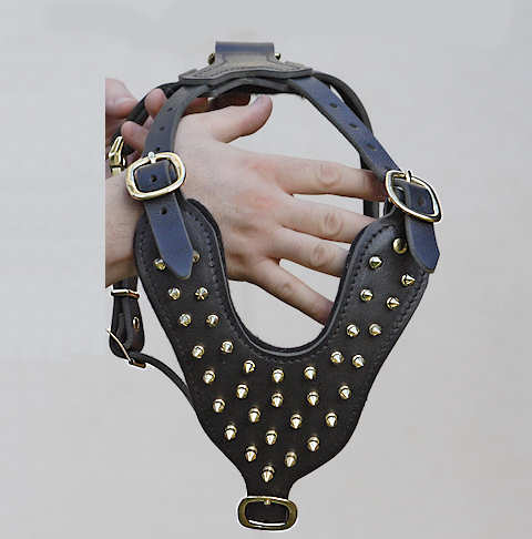 Pitbull hotsell spiked harness