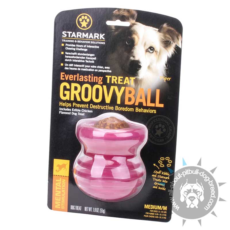 Order now dog chew treat dispenser for your Pitbull