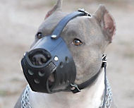 dog muzzle for pitbull